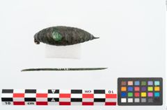 Foto von Bronzekahnfibel (NHMW-PRAE-025968)